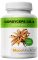 CORDYCEPS CS-4