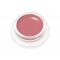 LIP2CHEEK  DEMURE